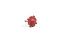 micro photo